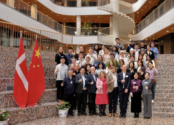 第二届中丹雁栖“全球创新与政策